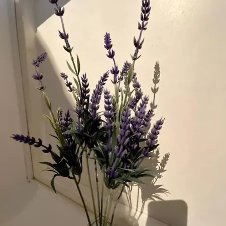 Apartamento Moderno Duplex En La Tacita De Plata *